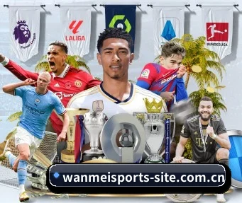 完美体育平台 APP - WMsports